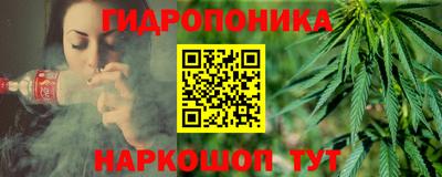 хмурый Аргун