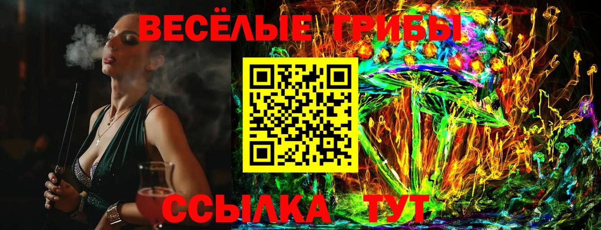 Вичуга  Галлюциногенные грибы GOLDEN TEACHER  Галлюциногенные грибы Psilocybe  Вход с VPN 
